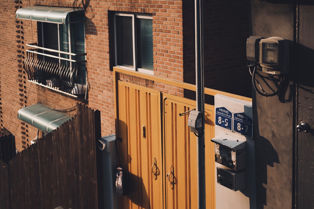 Photo by Clark Gu on Unsplash