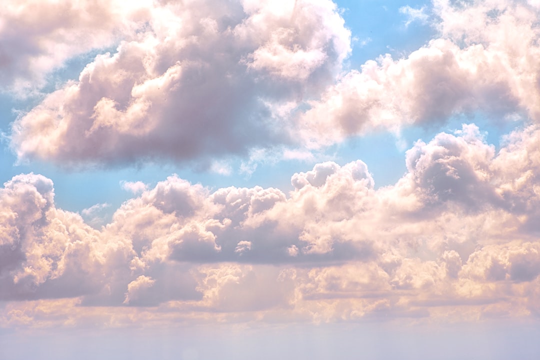 Photo by Billy Huynh on Unsplash